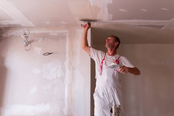 Best Wallpaper Removal and Painting  in Haw River, NC